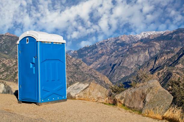 Best Sanitation services for porta potties  in Black Earth, WI